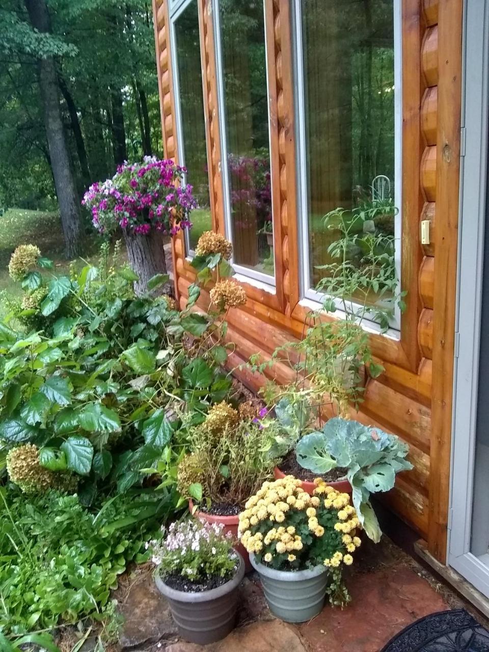 Bed And Breakfast Suite At The Wooded Retreat Pine City Zewnętrze zdjęcie